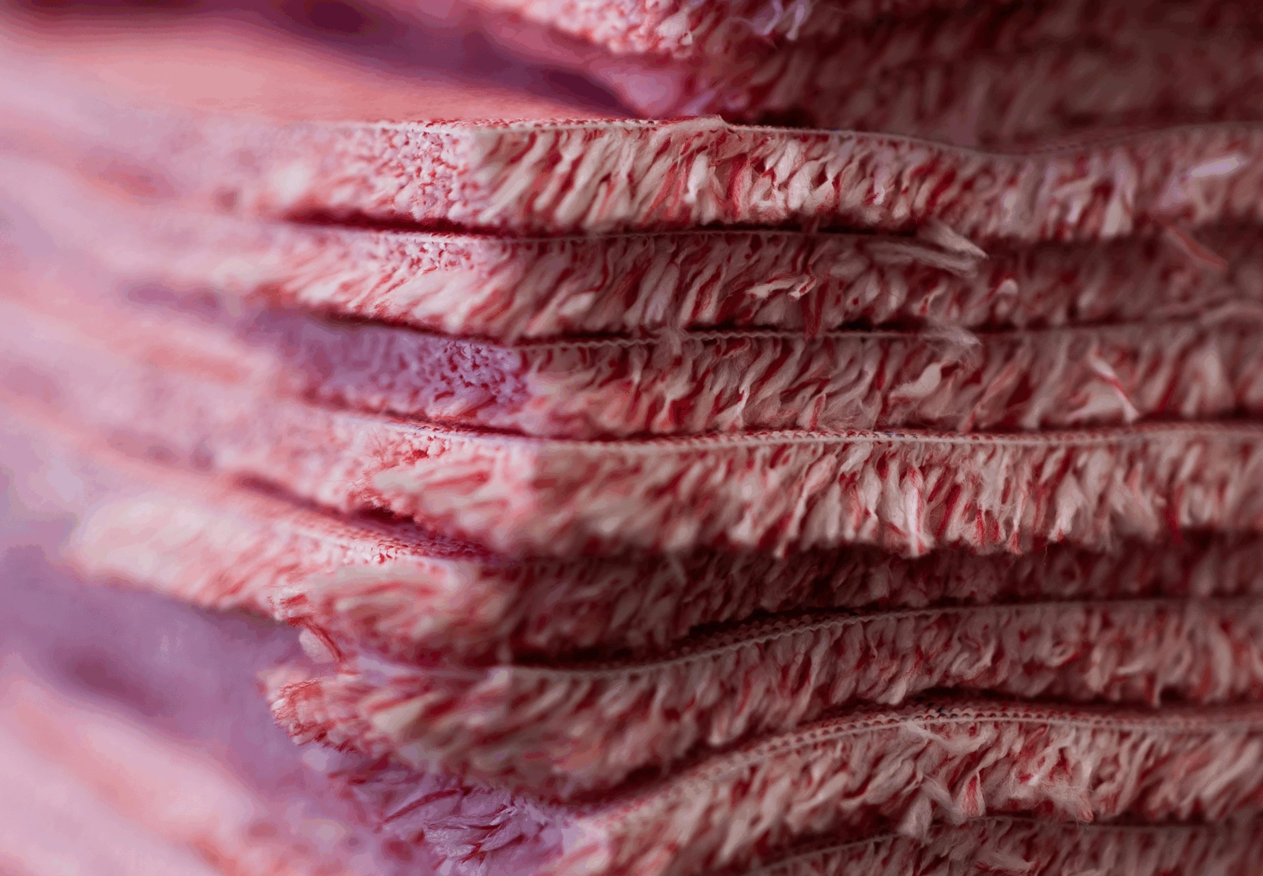 hoechste_hygiene_standards